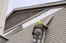 Affordable Siding Repair and Maintenance Services in Montura, FL